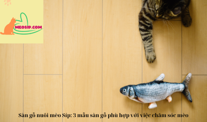 Sàn gỗ nuôi mèo Síp: 3 mẫu sàn gỗ phù hợp với việc chăm sóc mèo