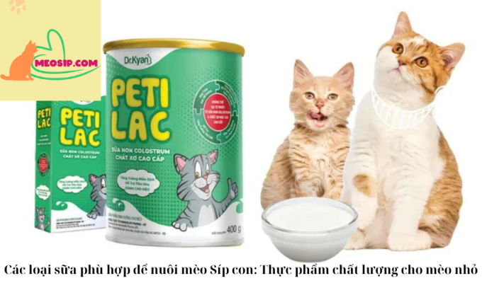 Các loại sữa phù hợp để nuôi mèo Síp con: Thực phẩm chất lượng cho mèo nhỏ