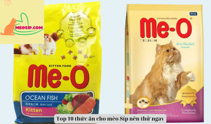 Top 10 thức ăn cho mèo Síp nên thử ngay