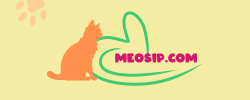 meosip.com